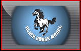 BlackHorse