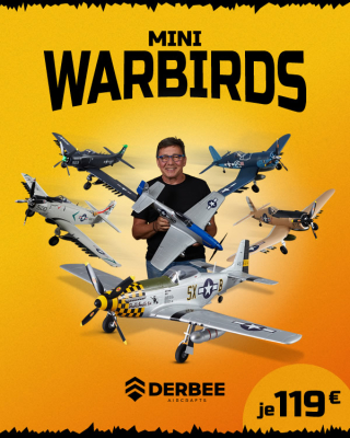 Die Mini Warbirds von DERBEE: Originalgetreue Modelle für Flugspaß - 