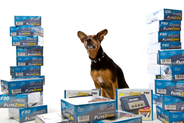 Weihnachtszeit ist Gutscheinzeit - 