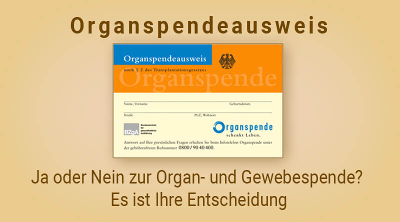 Organspende Organspende