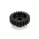 Losi Ritzel 23Z, 1.0M, 5mm Welle (LOS242010)