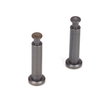Losi - TLR 8ight 3.0: Hing Pins 4x21mm TiCn (2) (TLR244007)