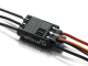 Hobbywing - Platinum Pro 100A V3 2 bis 6S - 10A BEC
