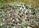 Killerbody - Camouflage Netz 150x150cm (KB48433)