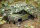 Killerbody - Camouflage Netz 150x150cm (KB48433)