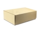 Robitronic - Papp-Austauschbox (für R14010) (R14010-1)