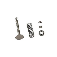 Ripmax - Auslass Ventil m. Zub. FS120S II (X-OS45560040)