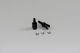 Team C - Kegel-Diff. Mitnehmer 4WD Buggy (T04043)