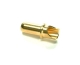 Plettenberg - Goldkontakt Stecker vergoldet 6,0mm (1...