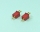 Pichler - Deans Micro Stecker und Buchse