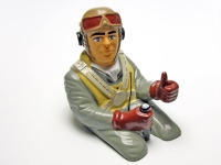 Black Horse - Pilot Westland