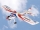 Pichler Joker XL 2 (Combo Set) / 2120mm (C9561)