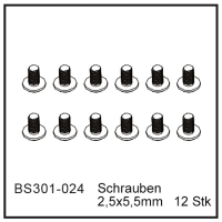 D-Power Schrauben 2,5x5,5mm (12 Stück) - BEAST BX /...