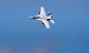 F/A-18 Super Hornet Jet EDF 70 PNP - 870mm