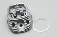 OS - Zylinderkopf m.Ventilen FT160 (X-OS46104020)