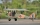 VQ Model - Tiger Moth (camo) - 1400mm