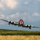 P-47D Thunderbolt 20cc - 1702mm