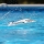 Proboat - Jet Jam 12-inch Pool Racer weiß - RTR