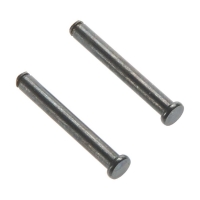 Horizon Hobby - AX31504 Hinge Pin 2.5x19mm (AXIC1504)