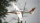 FMS - Fox electric Sailplane PNP - 3000mm