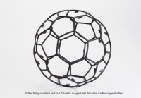 Graupner - Sweeper Schutzgitterschwarz VE6 (16580.15.2)