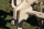Teil-Q - Variostand Feet