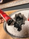 10l Extover® coarse bucket fire extinguishing granulate