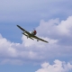 Ki-43 Oscar 50-60cc ARF - 2230mm