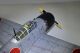 Zero A6M - 1720mm