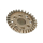 CEN-Racing - Ring Gear M1 X 30T (CQ0204)