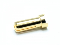 Pichler Gold Stecker flach 5.0 mm (VE=10St.) (C9346)