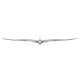 E-flite - Conscendo Evolution BNF basic with SAFE - 1500mm