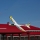 E-flite - Conscendo Evolution BNF basic with SAFE - 1500mm