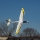 E-flite - Conscendo Evolution BNF basic with SAFE - 1500mm