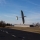 E-flite - Conscendo Evolution BNF basic with SAFE - 1500mm