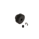Horizon Hobby - 24T 0.8Mod Safe-D5 Pinion Gear (ARA311007)