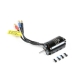 Horizon Hobby - Brushless Motor 2847-3200kV: Habu STS...