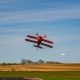 Pitts S-2B 50-60cc ARF - 1841mm