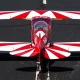 Pitts S-2B 50-60cc ARF - 1841mm