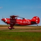 Pitts S-2B 50-60cc V2 ARF - 1841mm