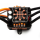 Spektrum - Firma brushless Smart Controller 2S to 4S - 120A