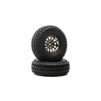 Horizon Hobby - Class 1 Scaler CR C3 Mntd 1.9" Blk/Chr (2) (DTXC4066)