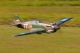 FMS - P-40B Curtiss Warhawk Flying Tiger PNP Combo - 1400mm