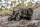 FMS - 1941 Willys MB Scaler Crawler RTR - 1:12