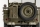 FMS - 1941 Willys MB Scaler Crawler RTR - 1:12