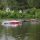Proboat - Blackjack 42 Zoll Brushless 8S Catamaran weiß/rot RTR