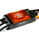 Horizon Hobby - Avian 100Amp Brushless Smart ESC, 3-6S Ver. A (SPMXAE1100A)