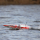 Impulse 32 brushless Deep-V mit Smart 6S - weiß/rot RTR