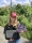 Jeti - Handheld Transmitter DS-12 Special Edition Carbon Purple Multimode