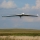 E-flite - Opterra 2m flying wing BNF basic with AS3X - 1989mm